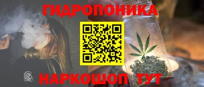 MDMA Новодвинск