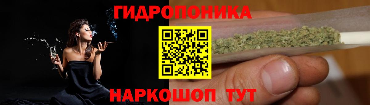 Конопля индика Югорск